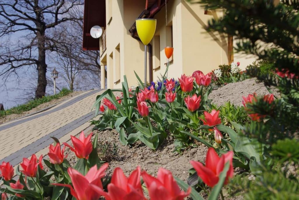 Apartament Zacisze Ustroń Exterior foto